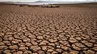 Rich nation 'gestures' on climate damage only a start: observers