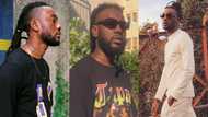 I'm a homosexual, do you hate gay men? - Pappy Kojo dazzles Giovani on live TV