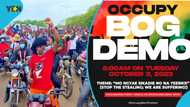 Ghana to witness another demo: NDC unites with smaller parties for Oct 3 OccupgyBoG protest