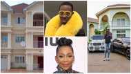 Foreign celebrities like Micheal Blackson, Genevieve Nnaji and others with mansions in Ghana