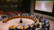 UN says 'credible' accusations Ukraine children forcibly moved to Russia