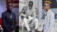 ‘Guy guy’ photo of Shatta Wale on campus in SHS drops online; fans say he is born star