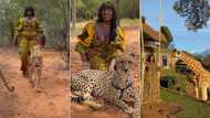 Into the wild: Model filmed walking with big cats in video hailed "Black Princess"