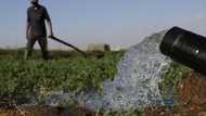 Drought-hit Morocco turns to desalination to save vegetable bounty