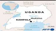 Children among 11 killed in fire at Uganda blind school