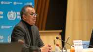 WHO mission to China to find the source of Coronavirus fails