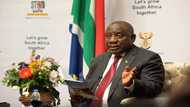 S.Africa's Ramaphosa should have acted against graft under Zuma: report