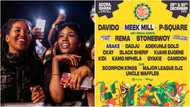 Meek Mill, Asake join Stonebwoy, Davido, P Square, KiDi for Afro Nation Ghana 2022