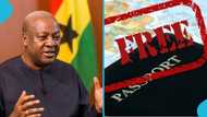 Mahama's call for free-visa movement in Africa: What it could mean for Ghanaians