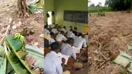 SHS students turn assistant headmaster's plantain plantation into desert over hard exam supervision