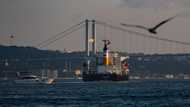 First Ukrainian wheat shipments expected next week: UN