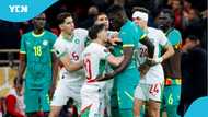 Justice on the pitch: Senegal's CAS appeal sparks AFCON title drama