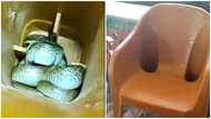 Nerve-wracking video of snake hidden inside plastic chair heaps reactions