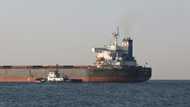More Ukraine grain sets sail as new strike hits nuclear site