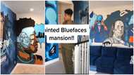 Man paints the walls of American Rapper Blueface's mansion with impressive designs