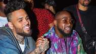 Chris Brown and Davido spotted together as they prepare to release new music