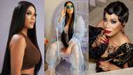 Zynnell Zuh sets pulses racing with spicy photos in see-through dress; fans thirst over her