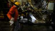 Germany to open its doors as labour shortage bites