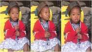 2-Year-Old Girl Sings Oniduro Mi with Angelic Voice in Cute Video, Many Say She's Perfect on the Mic