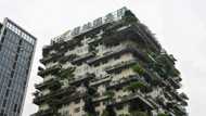 Shares in Chinese property giant Country Garden down sharply