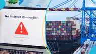 Internet disruption bites hard as importers and freight forwarders demand plan B