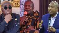 Apologise to Aflao chief over disrespectful comment - Ablakwa tells Nana Addo