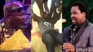 4 angels took me to TB Joshua - Ayitey Powers on how he went to SCOAN with no cash