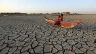 Global warming palpable for 96% of humans: study