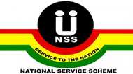 NSS allowance: eligibility, pay, how to check, increment