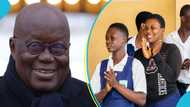 "Mandatory for governments to implement": Akufo-Addo administration to present Free SHS Bill to Parliament