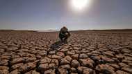 Drought tightens its grip on Morocco