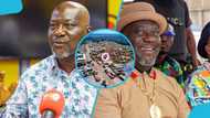 Fleet of trucks owned by Kofi Job, the man who handed his possessions to his wife