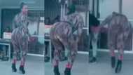 Slay queen in high heels disgraced as she falls while twerking in video