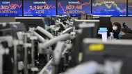 Asian markets rally after Wall Street highs