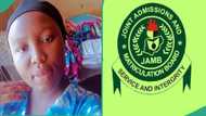 University student goes back to write JAMB, scores 65 marks in English, gets UTME aggregate of 293