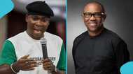 Viral clip captures Peter Obi appearing to chase away his fervent supporter, Peter Akah, fans react