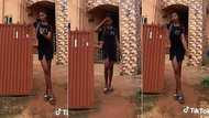 Girl with incredible height stands in front of building, video trends: "Taller than the gate"