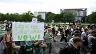German govt okays plan to legalise recreational cannabis