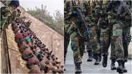 “It’s quite scary” – Prof Kwasi Prempeh worried after soldiers beat up Ashaiman residents