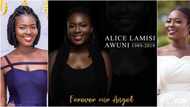 Heartbreak as beautiful Ghanaian makeup artist dies of cancer