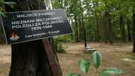 Remains of 8,000 Nazi war victims found in Poland