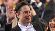 Elon Musk bans links to Twitter's rival social media platforms including Facebook, Instagram