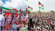 NDC suspends parliamentary primaries in 27 constituencies