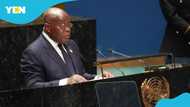 "Africa cannot continue to pay": Akufo-Addo addresses UN General Assembly on Africa’s climate change burden