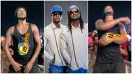 P Square: Video of staunch fan begging twins to perform 'E No Easy' at Afro Nation Ghana warms hearts of many as wish gets granted