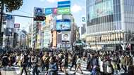 'True balance': Japan's quiet telework revolution