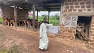 GES '8mins' Disciplinary Committee meeting was a total joke - Teacher Kwadwo