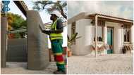 3D Printed Houses are becoming a global phenomenon for good reason