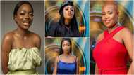 BBNaija 2021: Meet Arin with 17 piercings, Princess who has crush on Bukola Saraki, other female contestants