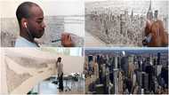 Autistic artist drew New York City from memory after 20 min helicopter ride